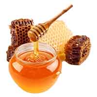 Honey (মধু)