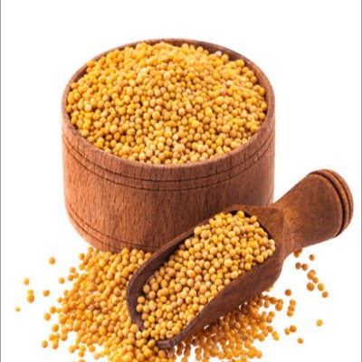 হলুদ সরিষা দানা - Yellow Mustard Seed
