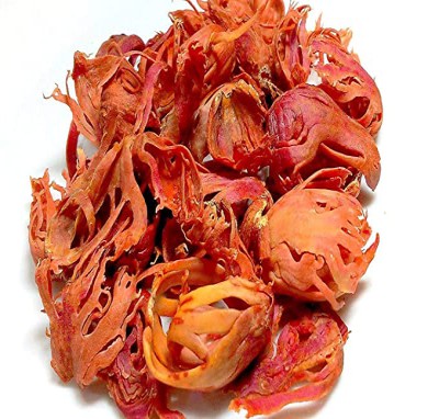 জয়ত্রী